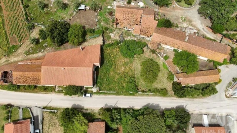 Terreno para Venda em Rio Maior