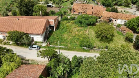Terreno para Venda em Rio Maior