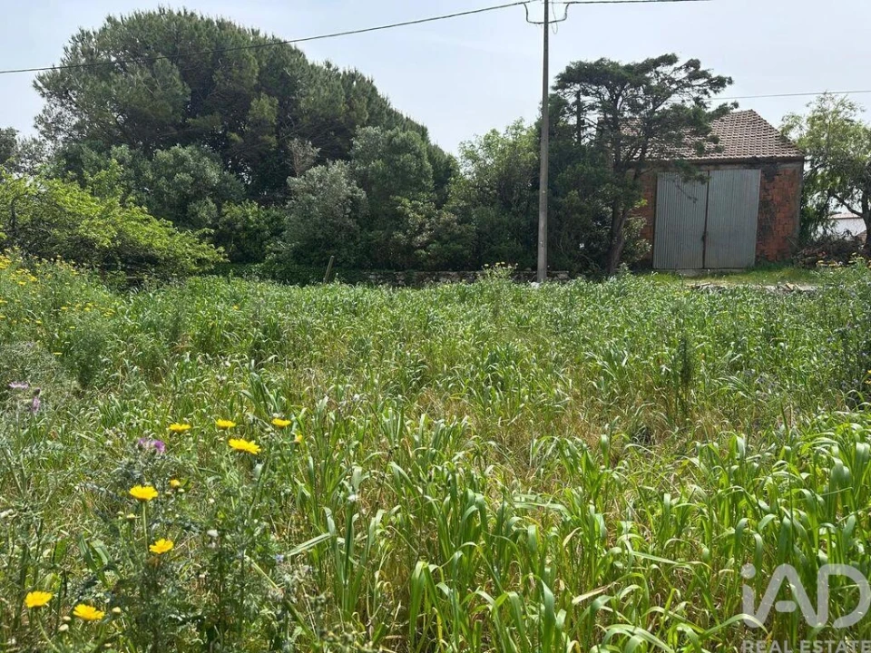 Terreno para Venda em Rio Maior Foto 21