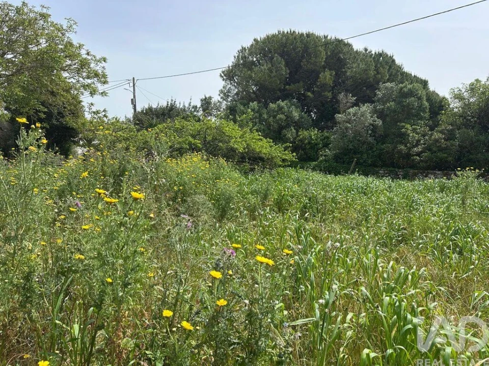 Terreno para Venda em Rio Maior Foto 20