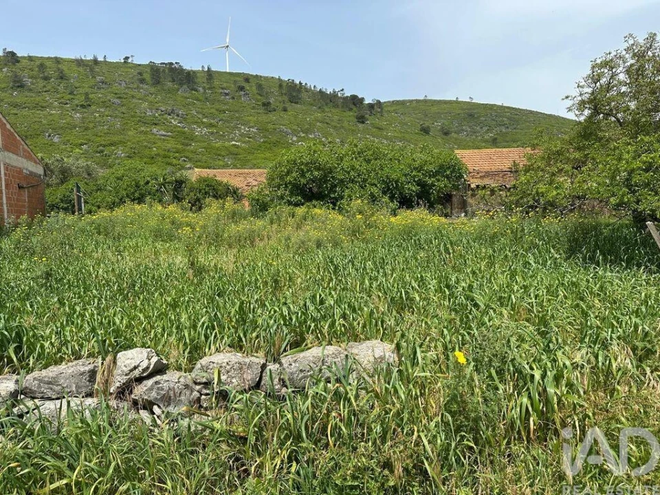 Terreno para Venda em Rio Maior Foto 19