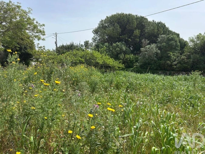 Terreno para Venda em Rio Maior Foto 20