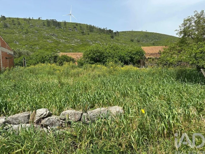 Terreno para Venda em Rio Maior Foto 19