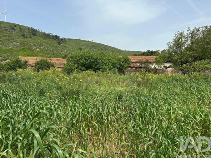 Terreno para Venda em Rio Maior Foto 23
