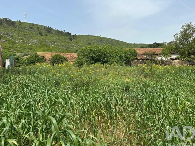 Terreno para Venda em Rio Maior Foto 24