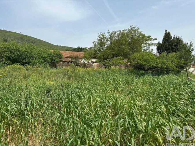 Terreno para Venda em Rio Maior Foto 25