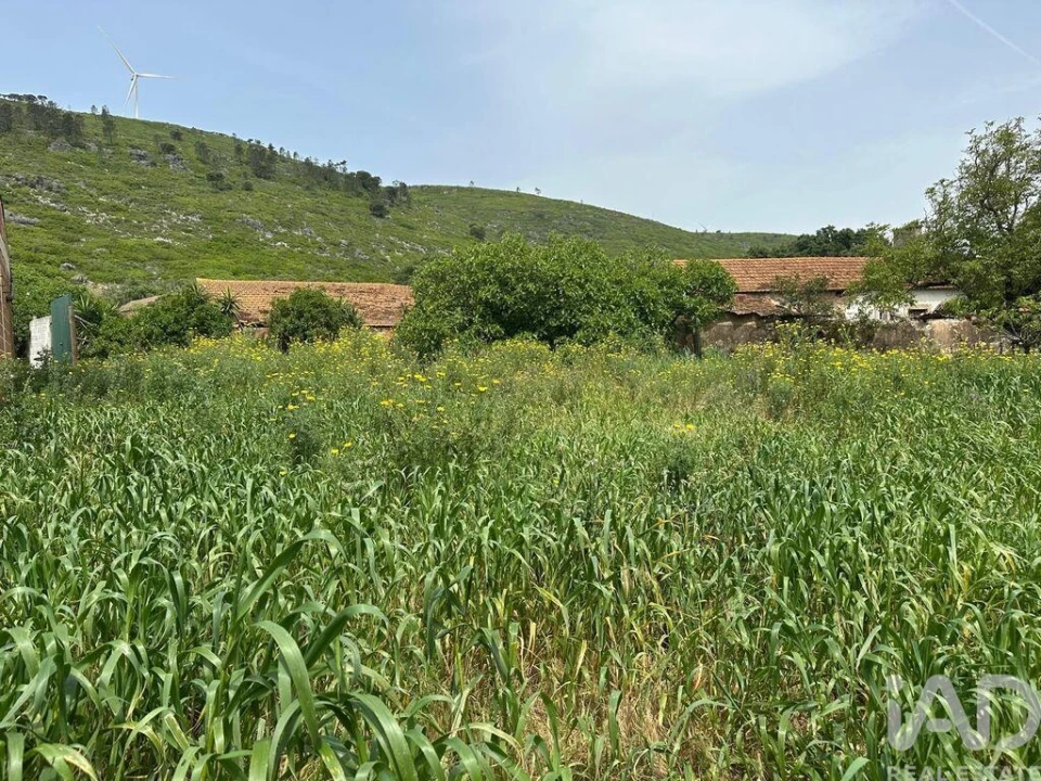 Terreno para Venda em Rio Maior Foto 24