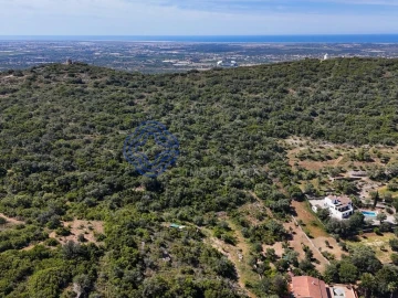Terreno para Venda em Santa Barbara de Nexe