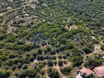 Terreno para Venda em Santa Barbara de Nexe