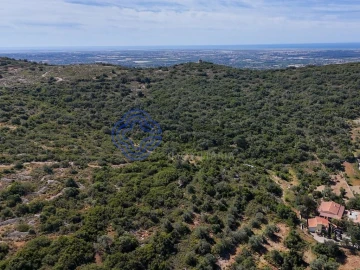 Terreno para Venda em Santa Barbara de Nexe