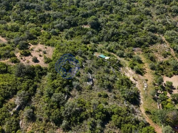 Terreno para Venda em Santa Barbara de Nexe