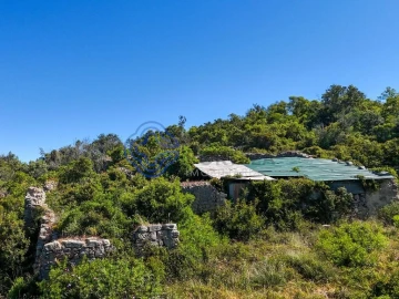 Terreno para Venda em Santa Barbara de Nexe