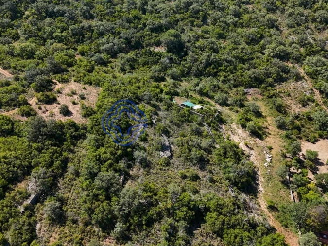 Terreno para Venda em Santa Barbara de Nexe Foto 23