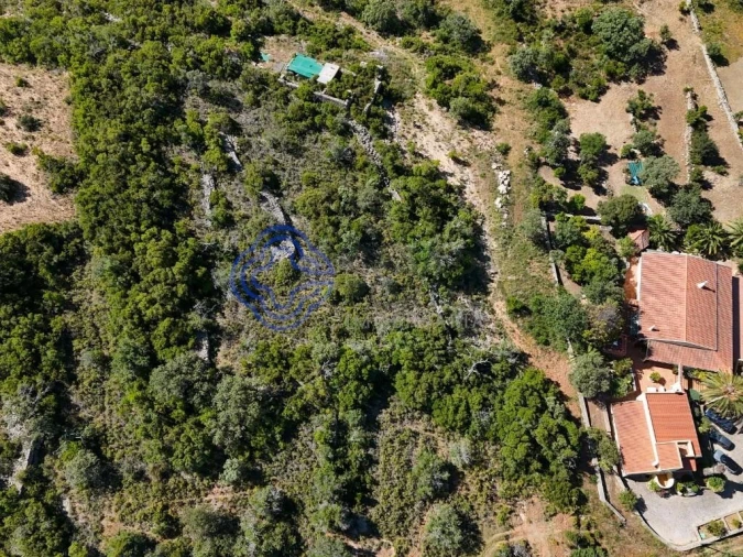 Terreno para Venda em Santa Barbara de Nexe Foto 25
