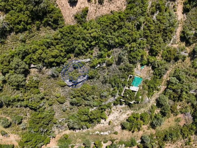 Terreno para Venda em Santa Barbara de Nexe Foto 15