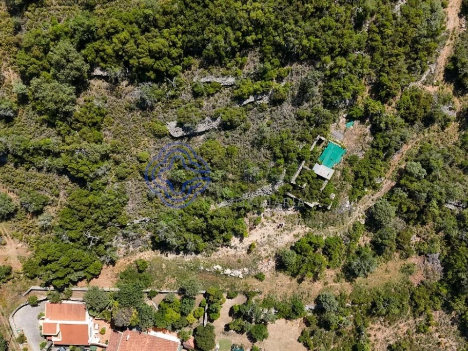 Terreno para Venda em Santa Barbara de Nexe Foto 17