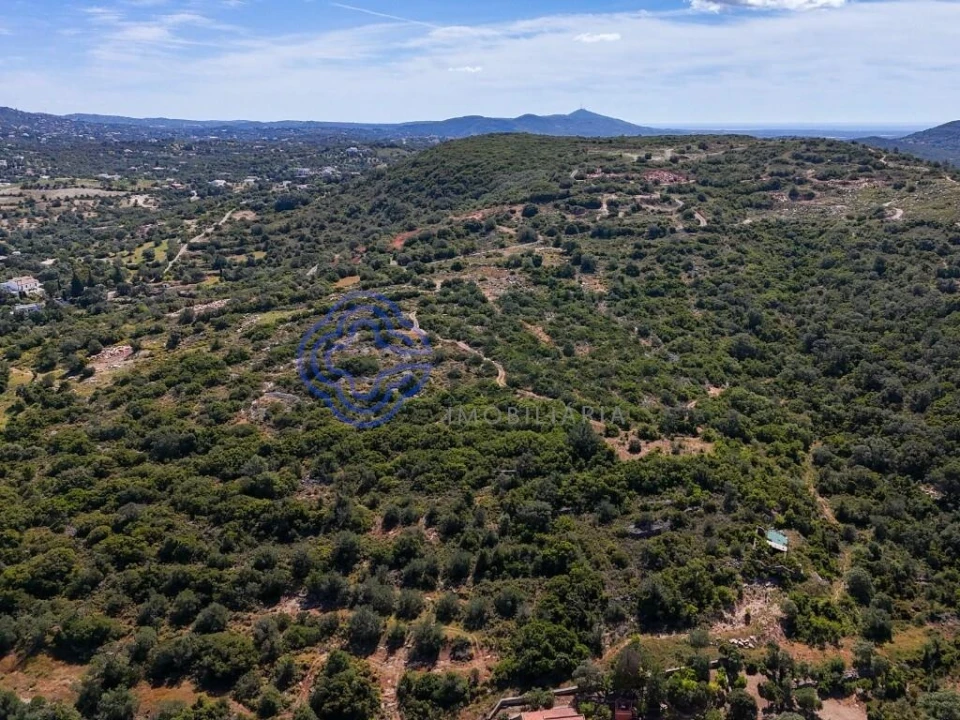Terreno para Venda em Santa Barbara de Nexe Foto 24