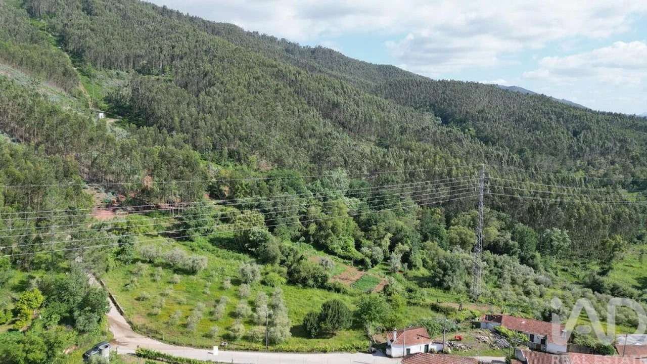 Terreno para Venda em São Miguel, Santa Eufémia e Rabaçal Foto 11