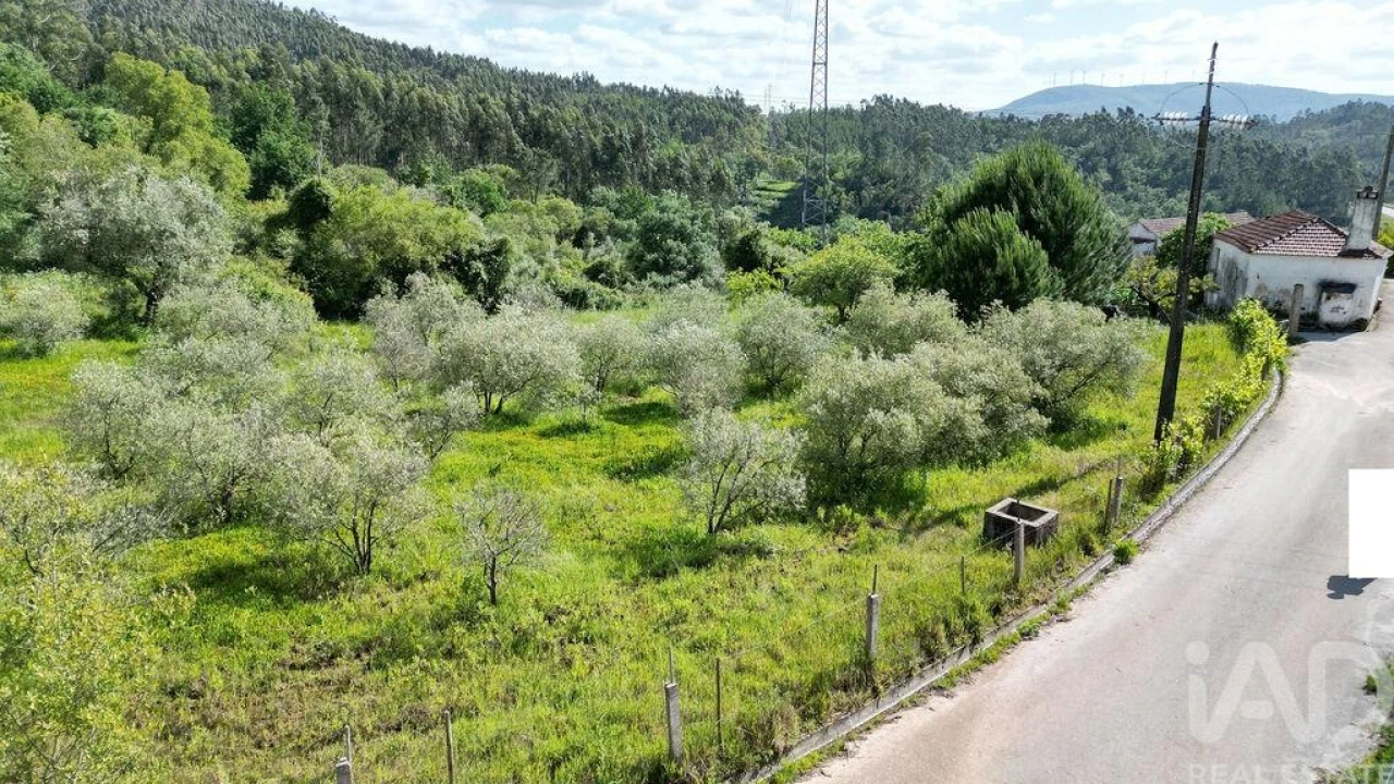 Terreno para Venda em São Miguel, Santa Eufémia e Rabaçal Foto 13