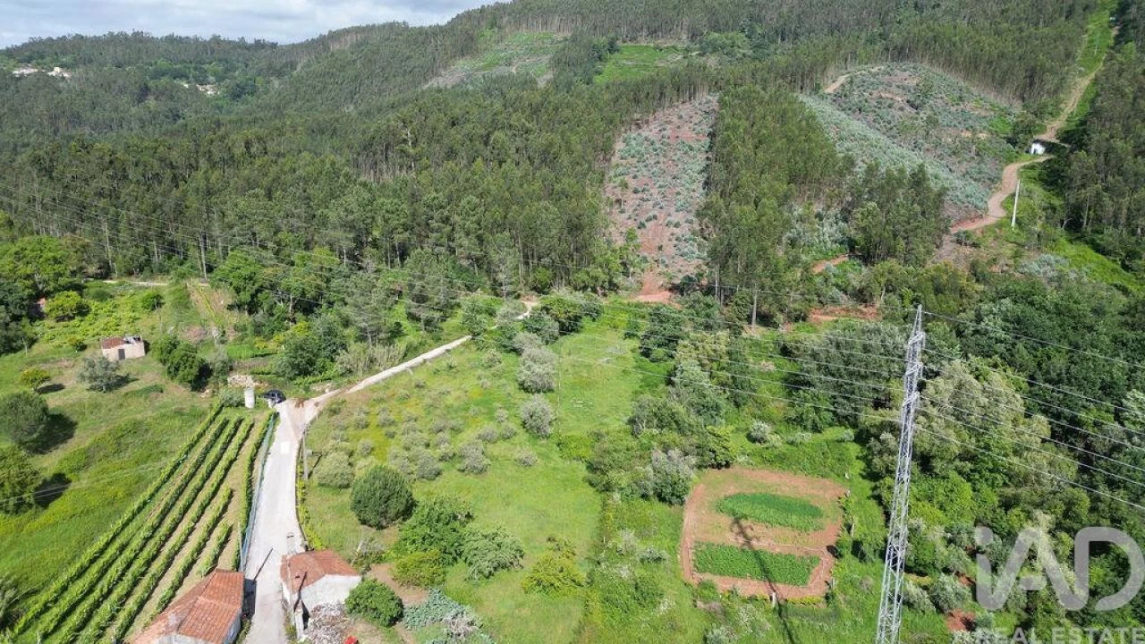Terreno para Venda em São Miguel, Santa Eufémia e Rabaçal Foto 8