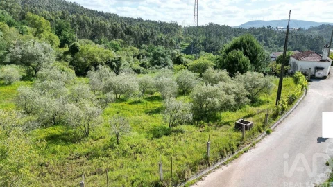 Terreno para Venda em São Miguel, Santa Eufémia e Rabaçal