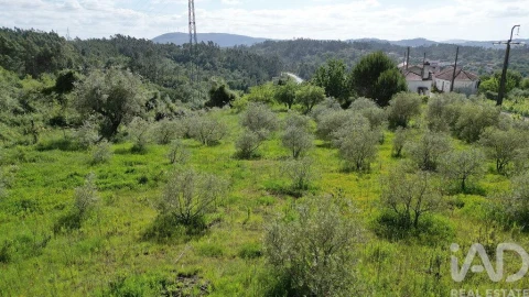 Terreno para Venda em São Miguel, Santa Eufémia e Rabaçal