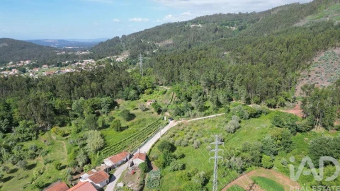 Terreno para Venda em São Miguel, Santa Eufémia e Rabaçal