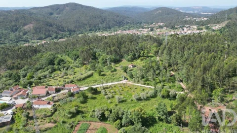 Terreno para Venda em São Miguel, Santa Eufémia e Rabaçal