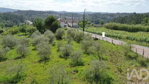 Terreno para Venda em São Miguel, Santa Eufémia e Rabaçal