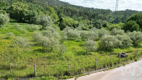 Terreno para Venda em São Miguel, Santa Eufémia e Rabaçal