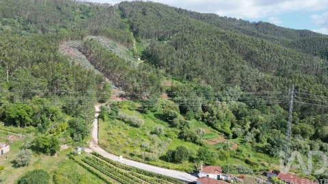Terreno para Venda em São Miguel, Santa Eufémia e Rabaçal