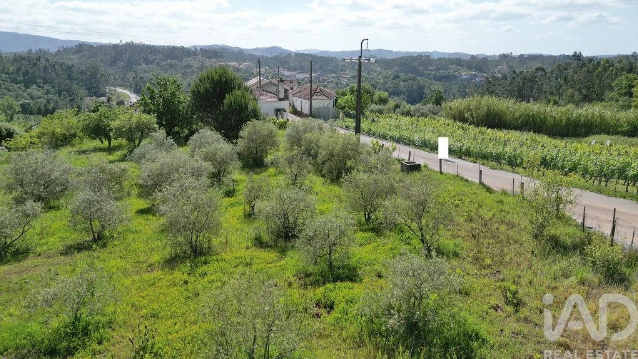 Terreno para Venda em São Miguel, Santa Eufémia e Rabaçal Foto 14