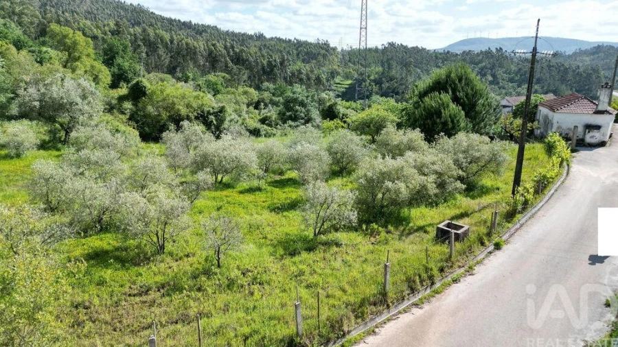 Terreno para Venda em São Miguel, Santa Eufémia e Rabaçal Foto 13