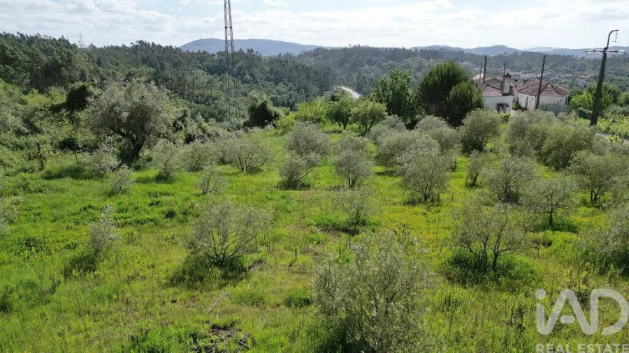 Terreno para Venda em São Miguel, Santa Eufémia e Rabaçal Foto 15