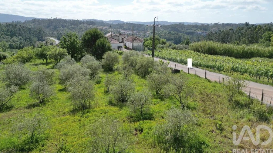 Terreno para Venda em São Miguel, Santa Eufémia e Rabaçal Foto 14