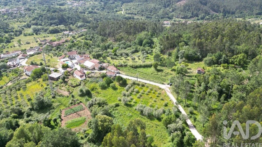 Terreno para Venda em São Miguel, Santa Eufémia e Rabaçal Foto 3