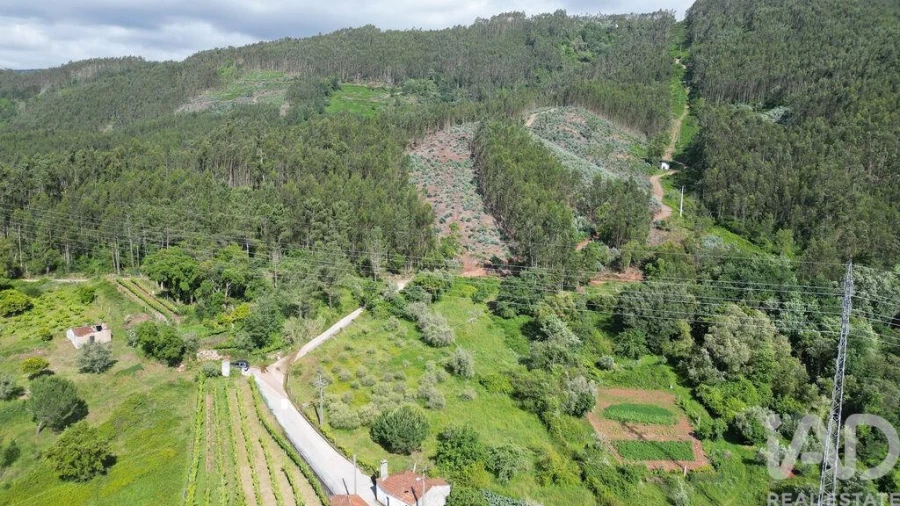 Terreno para Venda em São Miguel, Santa Eufémia e Rabaçal Foto 9