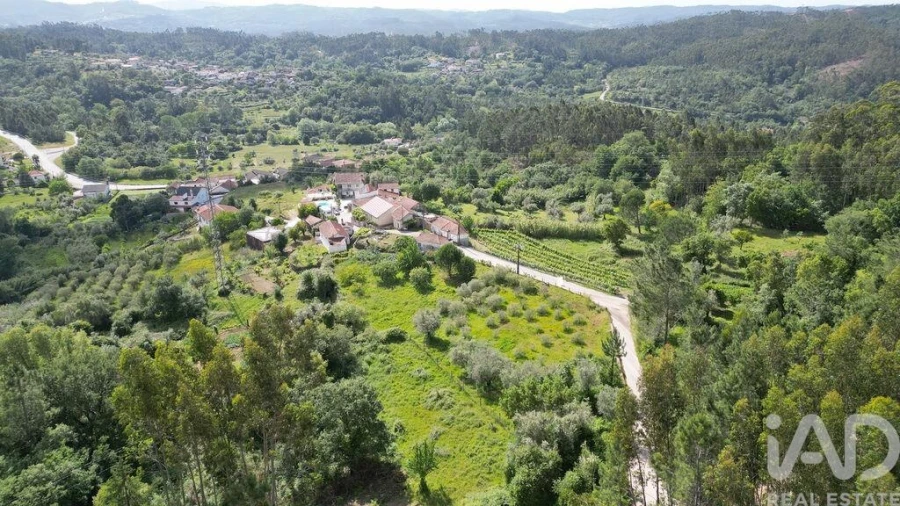 Terreno para Venda em São Miguel, Santa Eufémia e Rabaçal Foto 2