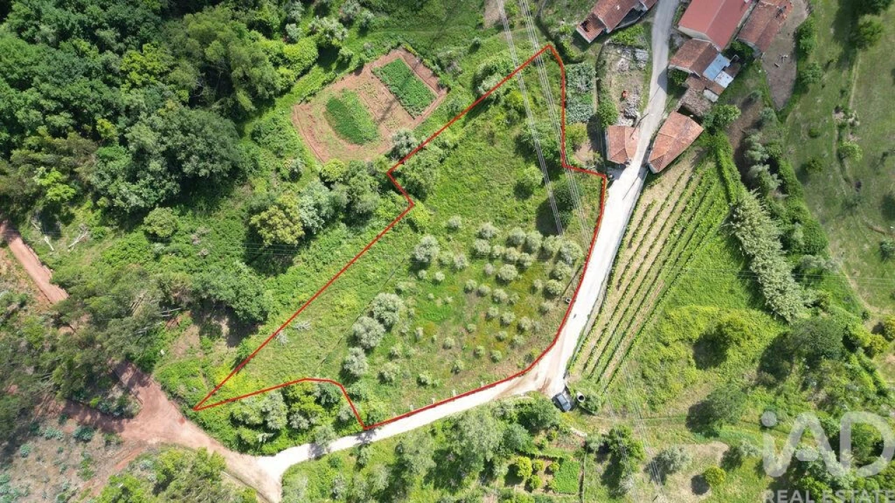 Terreno para Venda em São Miguel, Santa Eufémia e Rabaçal Foto 1