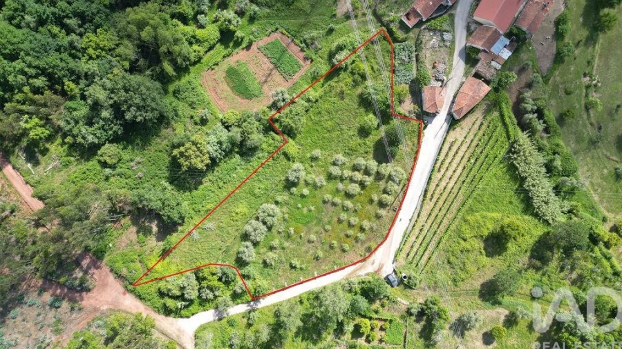 Terreno para Venda em São Miguel, Santa Eufémia e Rabaçal