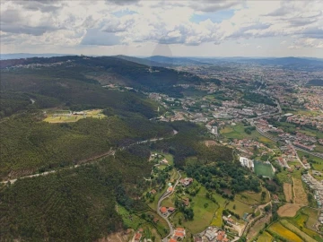 Terreno para Venda em Este (São Pedro e São Mamede)