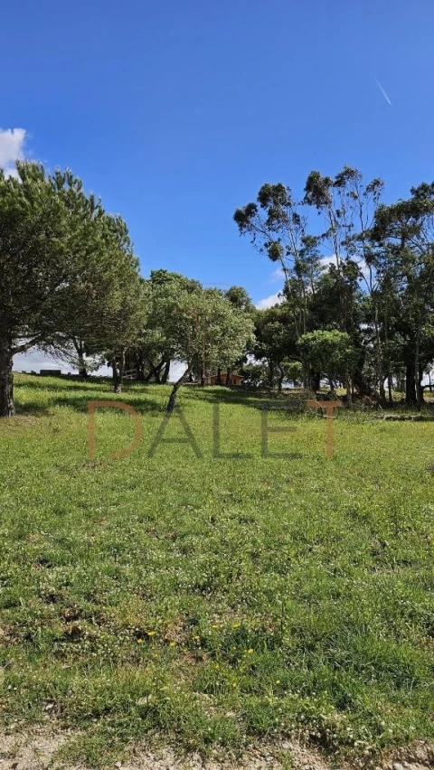 Quinta T5 para Venda em A dos Cunhados e Maceira