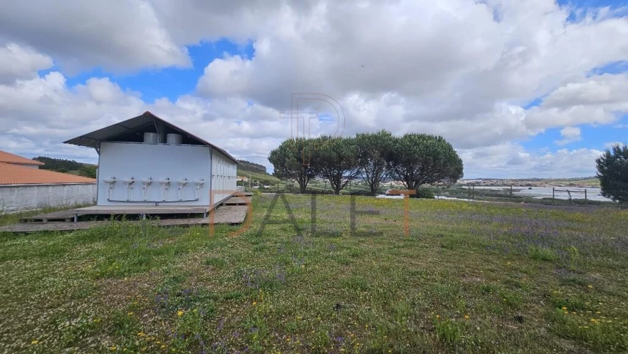 Quinta T5 para Venda em A dos Cunhados e Maceira Foto 19