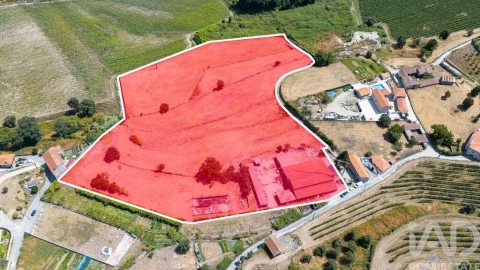 Terreno para Venda em Astromil