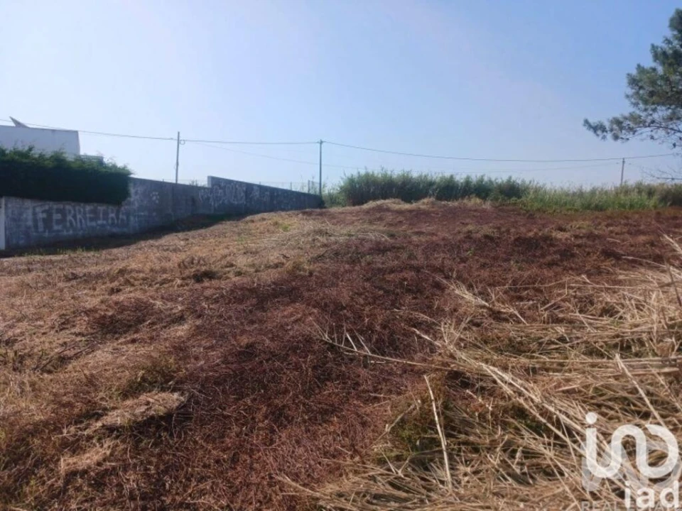 Terreno para Venda em Lourinhã e Atalaia Foto 14