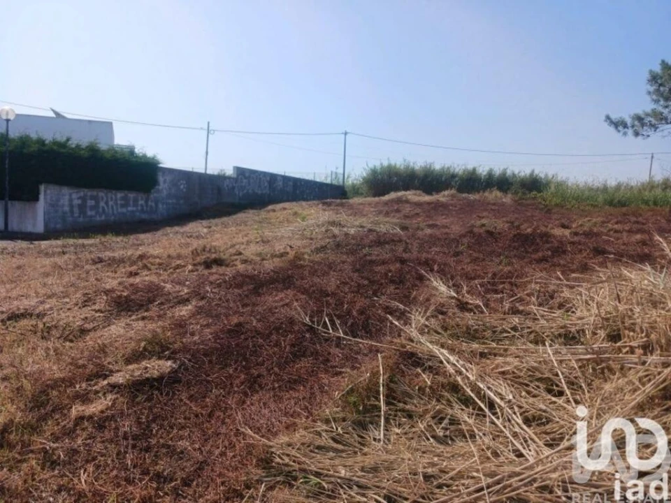 Terreno para Venda em Lourinhã e Atalaia Foto 2