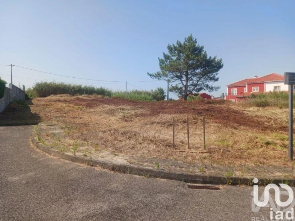 Terreno para Venda em Lourinhã e Atalaia Foto 16