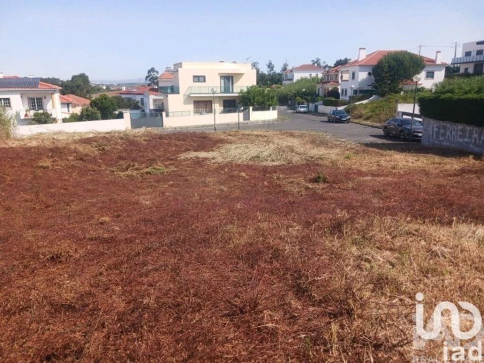 Terreno para Venda em Lourinhã e Atalaia Foto 4