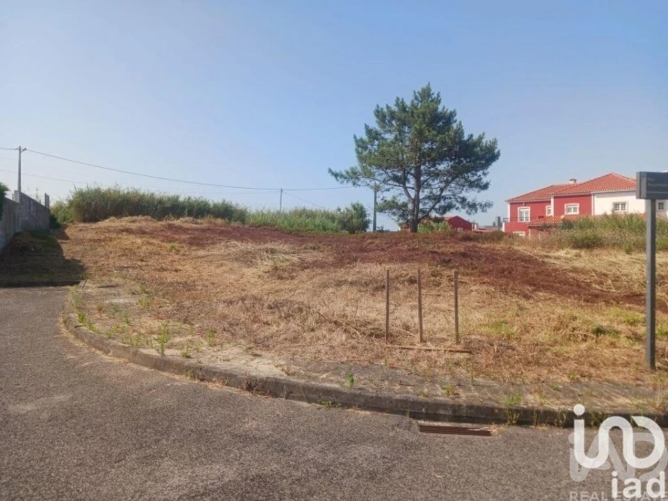 Terreno para Venda em Lourinhã e Atalaia Foto 15
