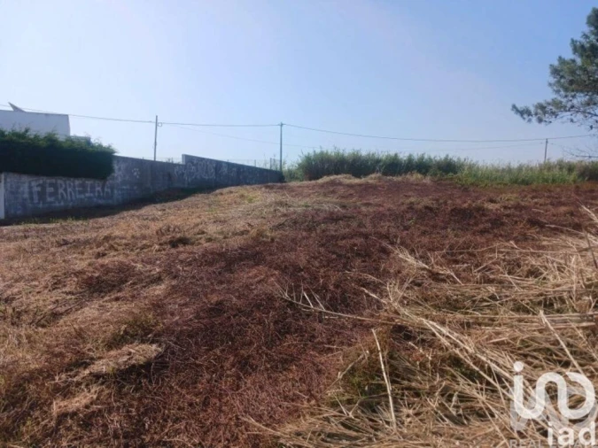 Terreno para Venda em Lourinhã e Atalaia Foto 14